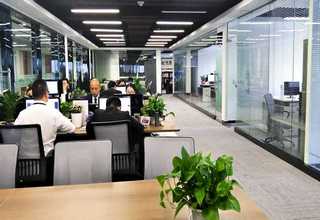 山东定制包胶轮