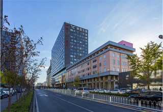 南宁气垫车运输服务哪家好